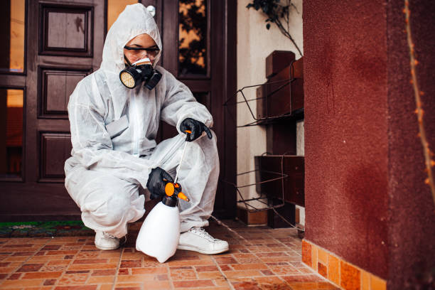 Reliable Bed Bug Control contractor in San Marcos, TX by Nex Pest Control