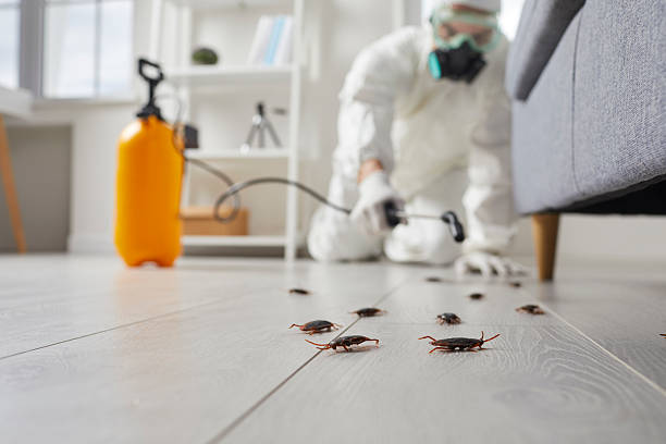 Trusted Fumigation Services service in San Marcos, TX - Nex Pest Control