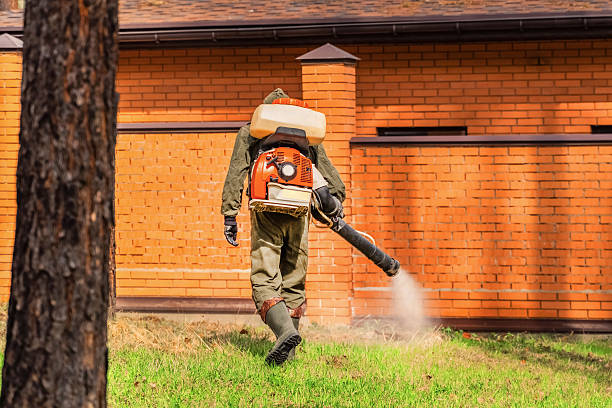 Trusted Rodent Control service in San Marcos, TX - Nex Pest Control
